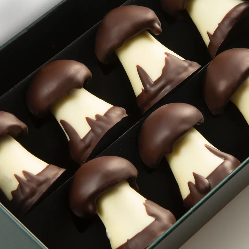 Mushroom chocolate